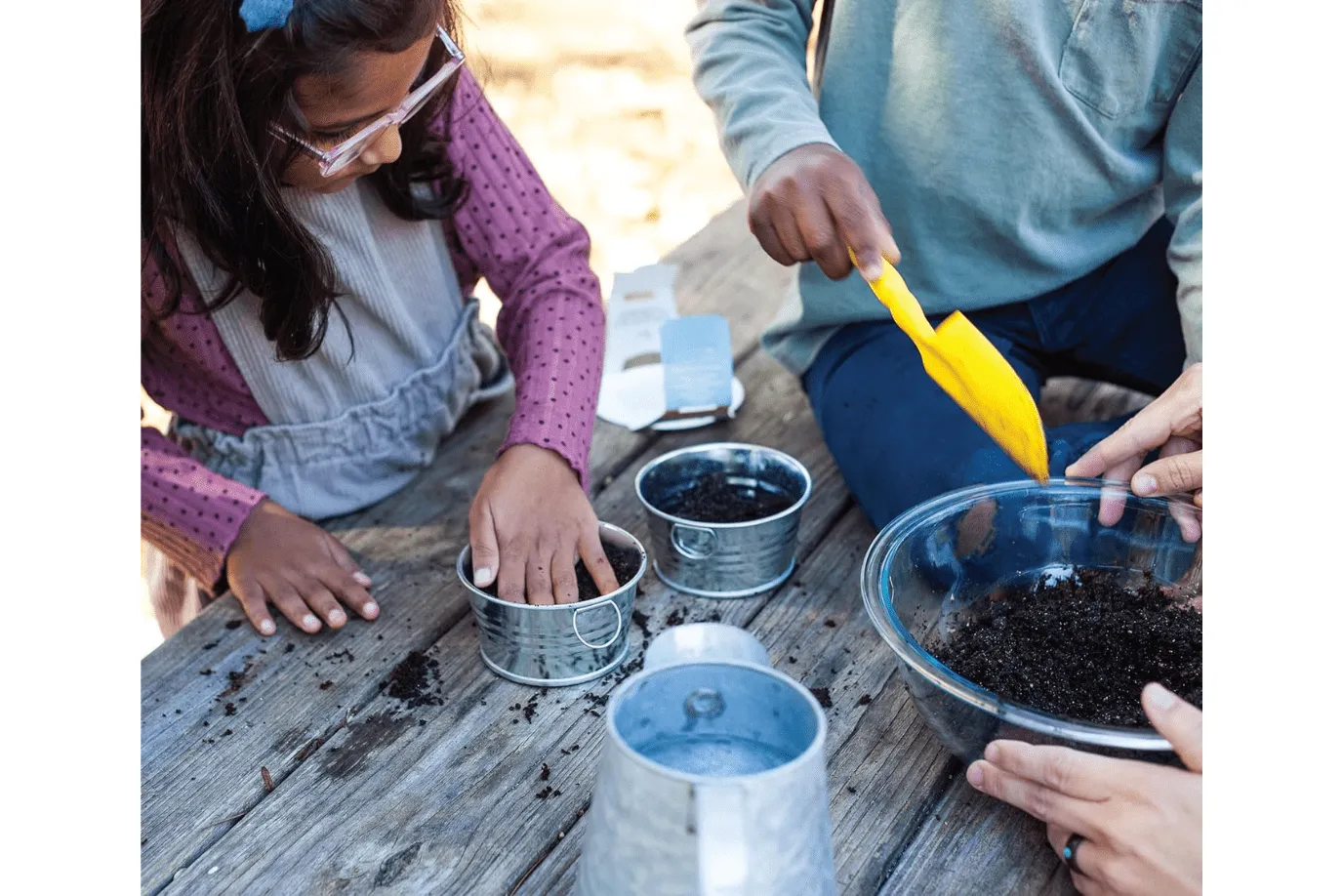 Children's Basin Grow Kits (4 Kits Available)