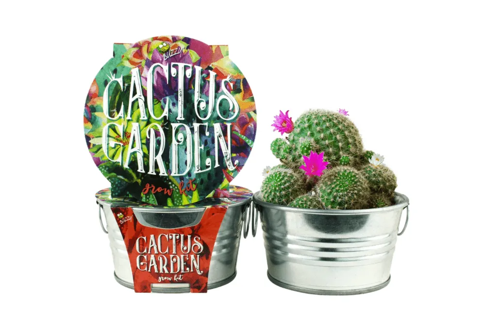 Children's Basin Grow Kits (4 Kits Available)