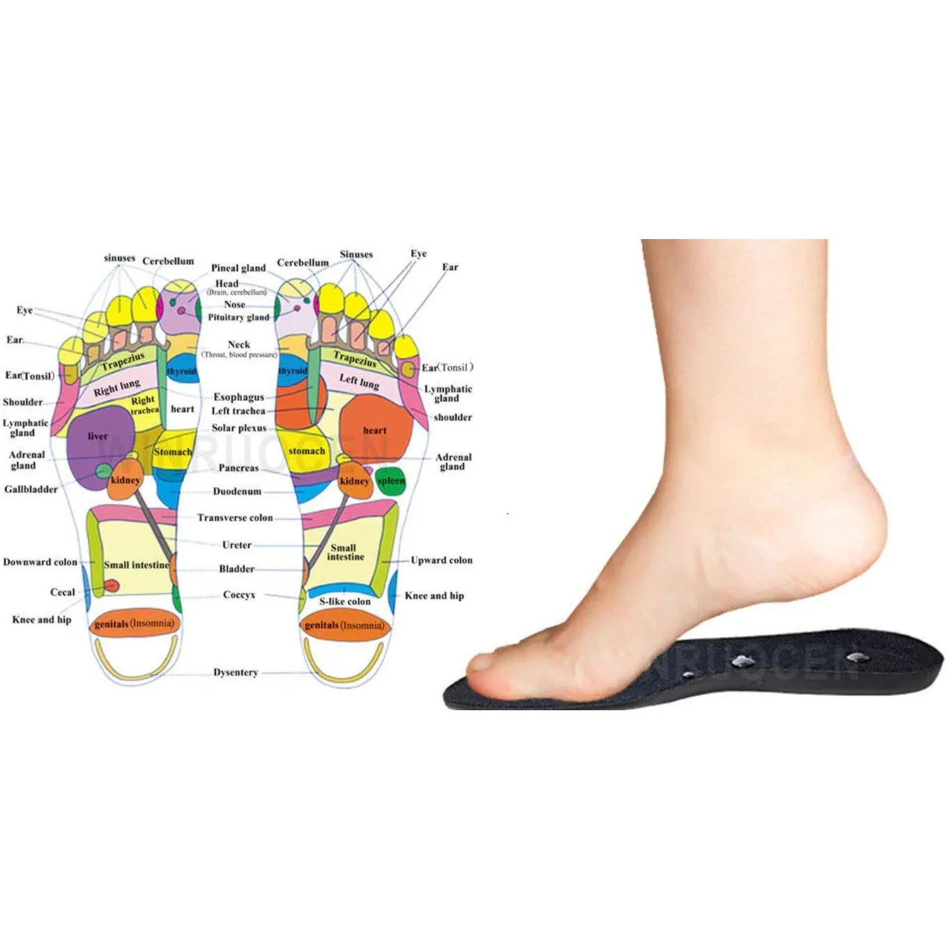 Unisex Weight Loss Acupuncture Magnetic Therapy Insoles